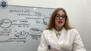 HAAK LIMITED: Новая Надежда для Детей с ДЦП — Эмбриональные Стволовые Клетки
