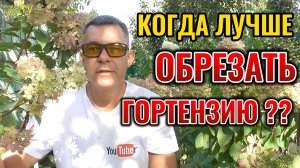 ✂ Обрезка метельчатых гортензий: ВЕСНА 🌞 или ОСЕНЬ 🍂 ? Узнайте секрет!