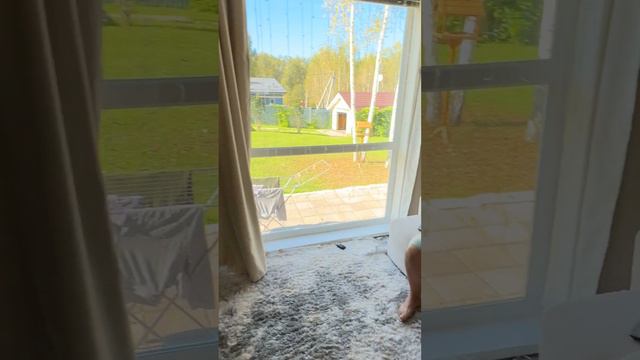 Независимое телевидение смотреть онлайн