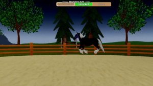 ROBLOX/Приезд новой лошади . Занимаемся в руках