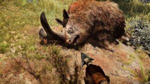 All Rare Animals Location - Far Cry Primal 4K 60 FPS (HD Texture And Max Settings)