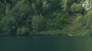 Медведь плывет по озеру Кардывач