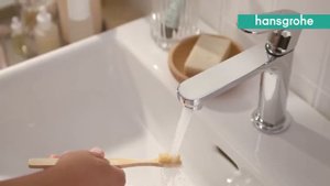 hansgrohe Rebris S