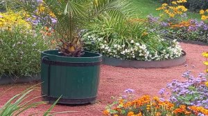 шикарная клумба с цветами