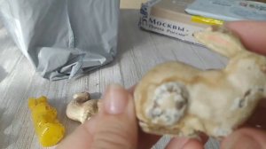 Посылки из прошлого. Выпуск 31