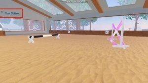 ROBLOX/Тренировка на Рае? Новый формат видео?