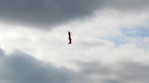 10cdd409-d3fc-42a5-b156-6047804db24c-1_all_1319.mp4