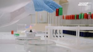 Определение общего количества мезофильных аэробных и факультативно-анаэробных микроорганизмов (к