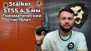 Пневматический пистолет Stalker STSS 4.5 мм (Sig Sauer SP 2022) Видео Обзор
