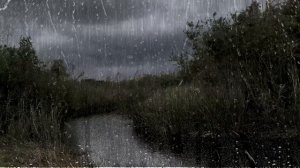 Windy Rain and Thunder Sound - Heavy Rain with Thunder - 2 Hours Rain Sounds for Sleep - Windy Rain