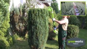 Аккумуляторный кусторез Greenworks G40PH51