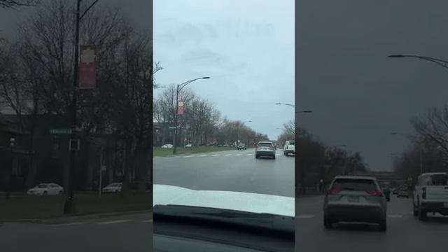 A cortarme el pelo a Penny Lane!!! #curlyhair смотреть онлайн