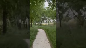 Новый курс Мобильный видеограф от Легендарного Фотофакулььета