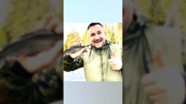 Воспоминания о Карелии смотреть онлайн