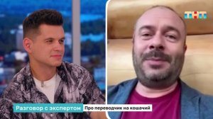 Приложение, которое переводит человеческую речь в кошачью!