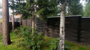 Прогулка по дачному участку.  Почему приглашаю всех на яндекс дзен