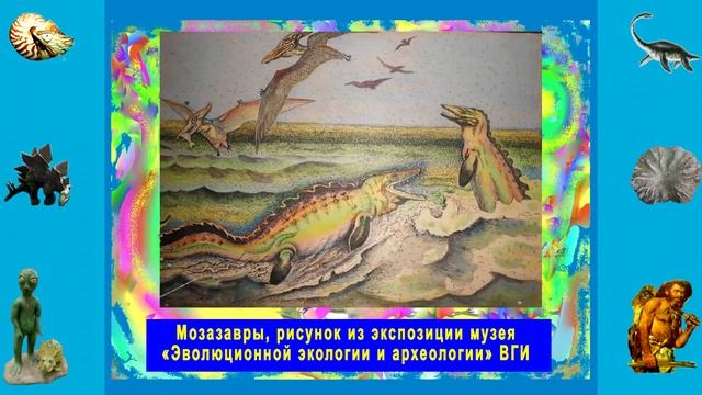 Виртуальное путешествие по уникальным экспозициям музея  Эволюционной экологии и археологии ВФ ВолГУ