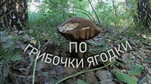 По грибочки ягодки