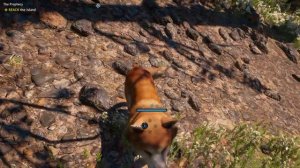 Petting Timber On FarCry New Dawn