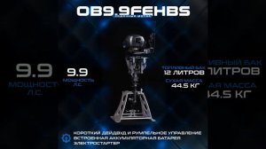 4-тактный лодочный мотор HND OB9.9 FEHBS