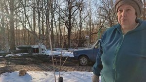 Обивка для теплицы. Распаковка саженцев.