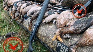 МР-155 ВСЕ ПЛЮСЫ И МИНУСЫ