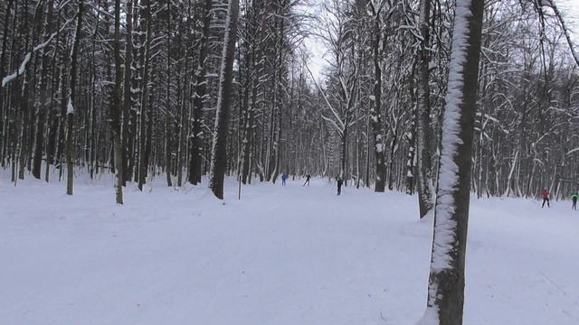 Контрольная тренировка СК "МарьиноМультиСпорт", Волкуша, 26.12.2021 смотреть онлайн