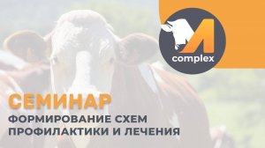 Формирование схем лечения и профилактики | семинар М-комплекс