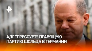 "Альтернатива для Германии" практически сравнялась с партией Шольца по поддержке / РЕН Новости