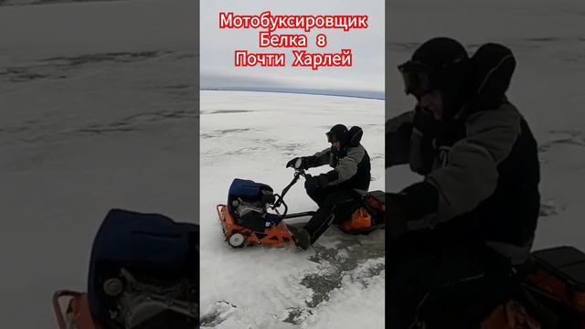 Мотобуксировщик Белка 8LE Почти Харлей Девидсон. Езда по снежной каше.