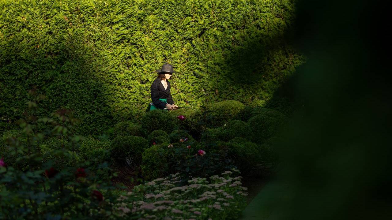 Анна Чурбанова смотреть онлайн