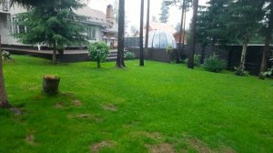 Посеял газон и отдыхай? Все совсем не так