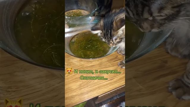 Диалоги о... рыбалке