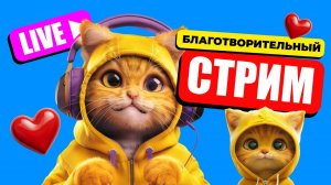 Благотворительность. Оцениваем Телеграм каналы и отвечаем на вопросы.
