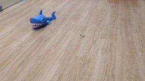 122480 & 122481 Интерактивные игрушки Veld Co Акула на радиоуправлении