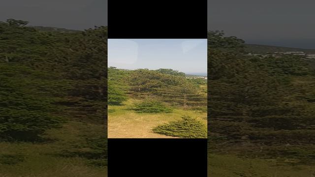 На Ай-Петри с юмором 2 смотреть онлайн