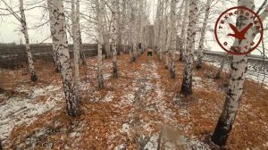 МР 155 Профи. Отстрел чоков