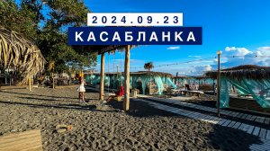 Сегодня на море в поселке Лазаревское, 23 сентября 2024, пляж Касабланка.