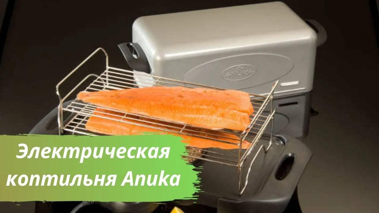 Электрическая коптильня Anuka