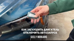 Как отменить автозапуск/как заглушить двигатель если завел с автозапуска Джили Монжаро/Geely Monjaro