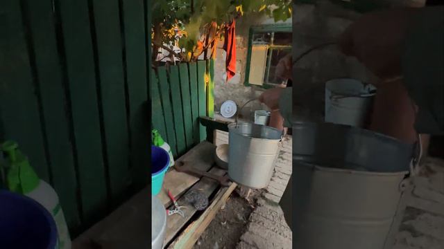 Ласка нужна! смотреть онлайн