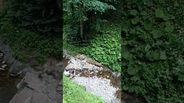 Парк водопадов  "Менделиха" на Роза Пик, Красная Поляна, Краснодарский край. Waterfalls on Rosa Peak