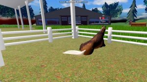 ROBLOX/О чем думают наши лошади когда нас нет в игре?
