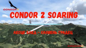 Condor 2 Soaring. Лесце Блед - Словень Градец. Легкий маршрут под настроение