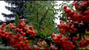 Анатолий Кулагин - Эта Песня О Тебе