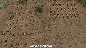 Профессиональный аэратор Billy Goat AE1300HEU