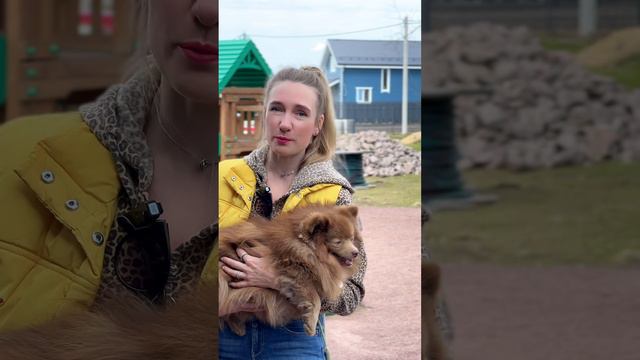 Отзыв собственника земельного участка в п. Усадьба в Кавголово смотреть онлайн