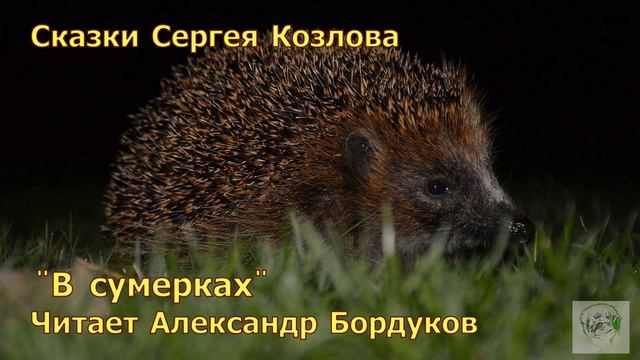 Сказки С. Козлова.  В сумерках.