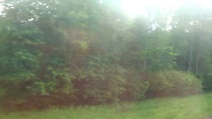 Белорусское направление. Перегон Можайск - Бородино