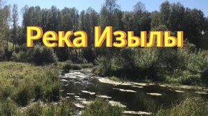 Река Изылы. Природа Новосибирской области. Тогучинский район.